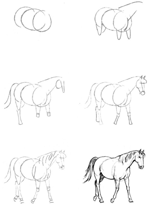 Рисовать лошадь