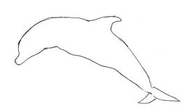 рисуем дельфина