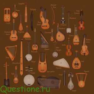 Какие виды музыкальных инструментов существуют?