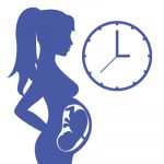 Как узнать срок беременности?