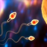 Как стать донором спермы?