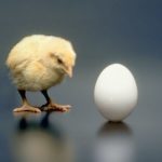 Что появилось первое — яйцо или курица?
