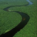 Какая река длиннее Волга или Амазонка?
