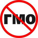 Вредно ли ГМО для здоровья?