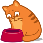 почему кот стал плохо есть?