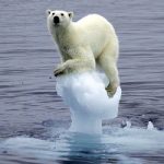 Почему происходит таяние льдов в Арктике?